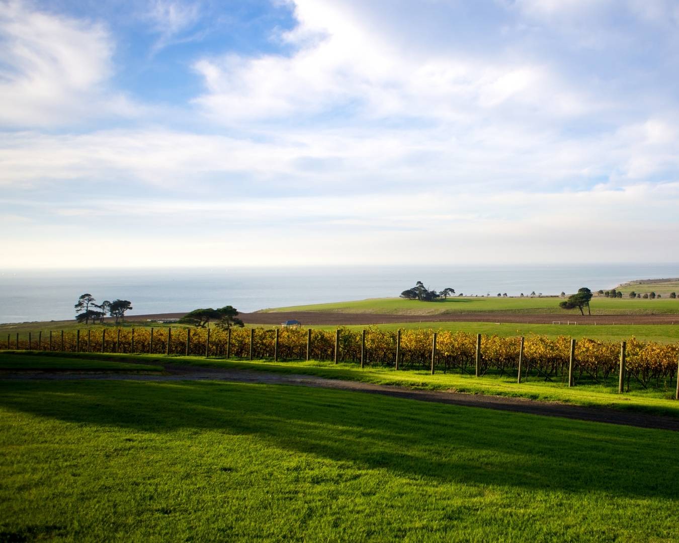 Bellarine Peninsula