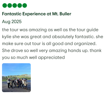 Cruisin with kylie review (1)