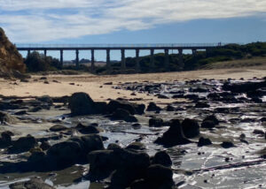 Kylie's Adventures (11)