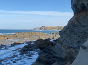 Kylie's Adventures (12)