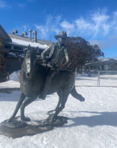 Kylie's Adventures (2)