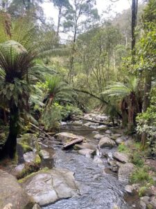 Kylie's Adventures (4)