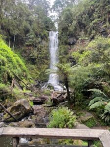 Kylie's Adventures (5)