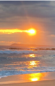 Kylie's Adventures (9)