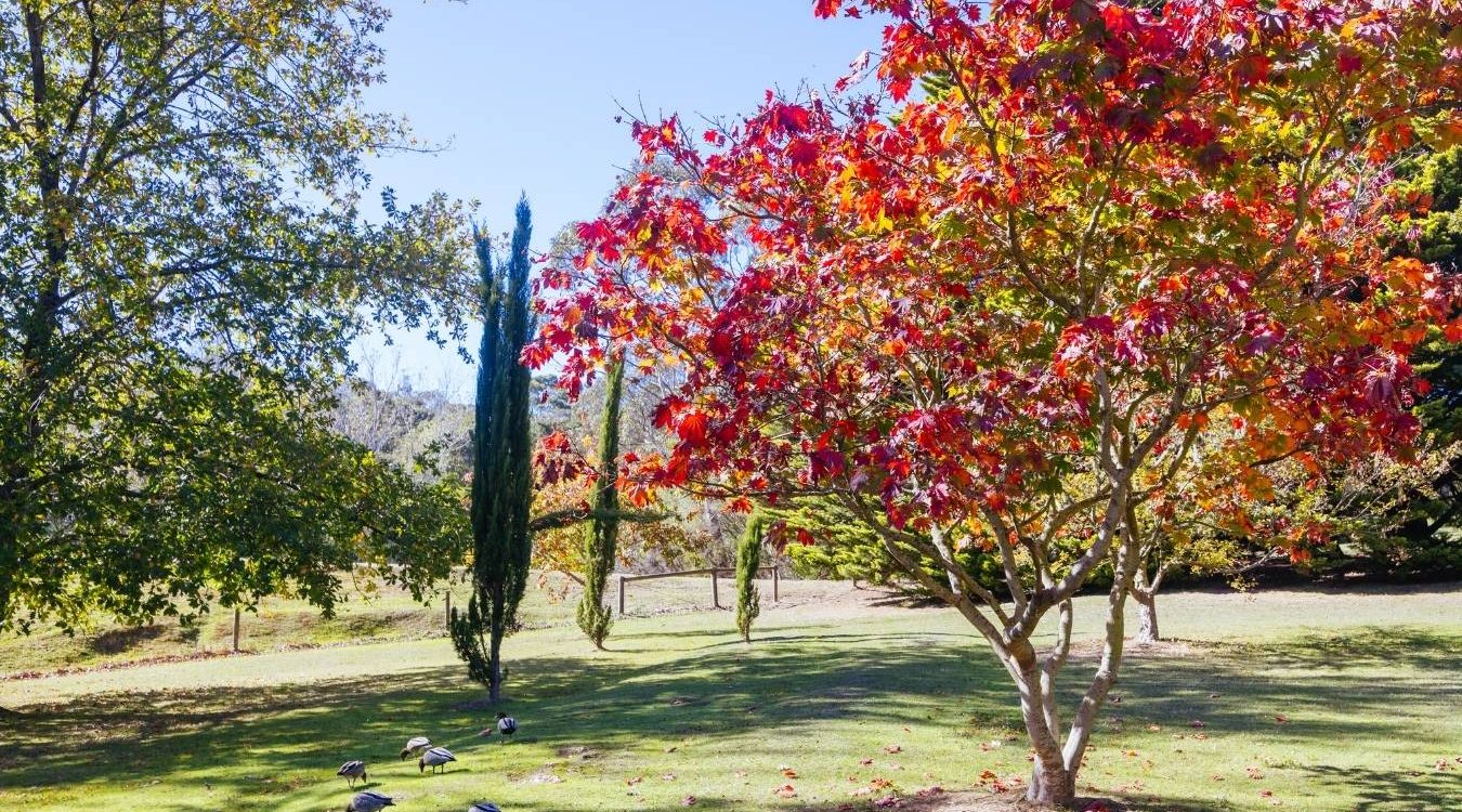 Mornington Peninsula